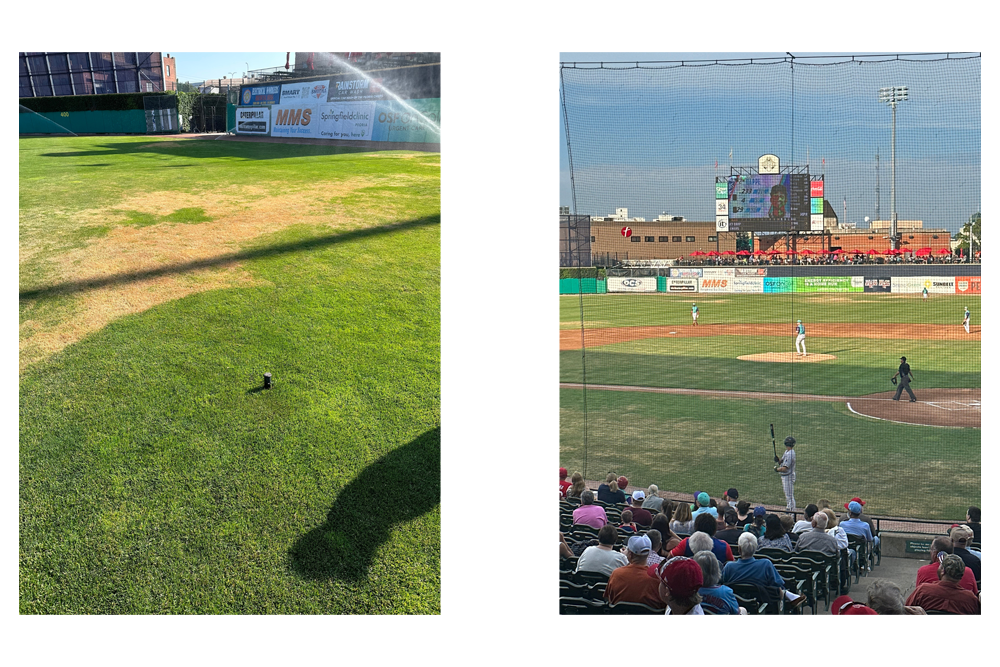 collage of dozer park before 